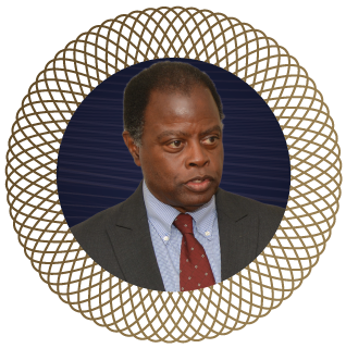 Professor Michael Leslie